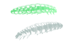 Libra Lures, LIBRA LURES LARVA 30 mm CHEESE 15 Stück ,Farbe 000 Glow UV